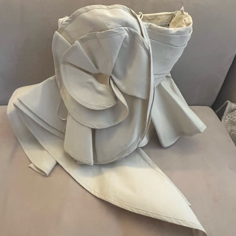 Zara runway collection rose boudoir top